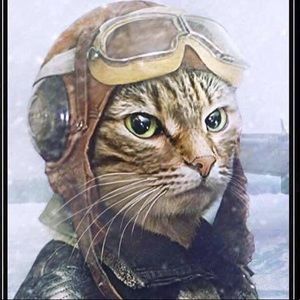 Meet your Posher, Jack